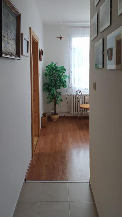 Apartman V Srní Dış mekan fotoğraf